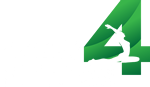 Lean 4 Fitness